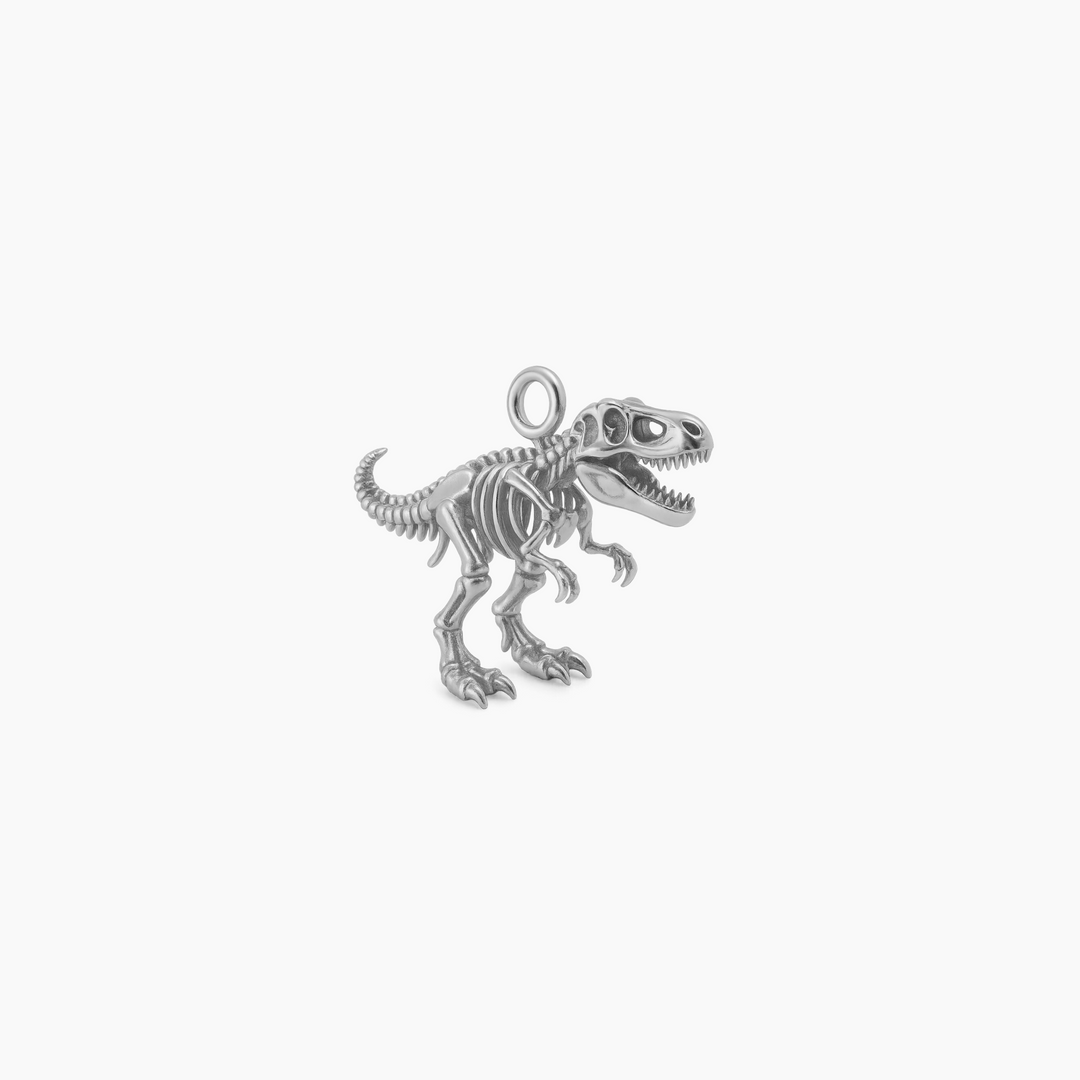 Sterling Silver finish