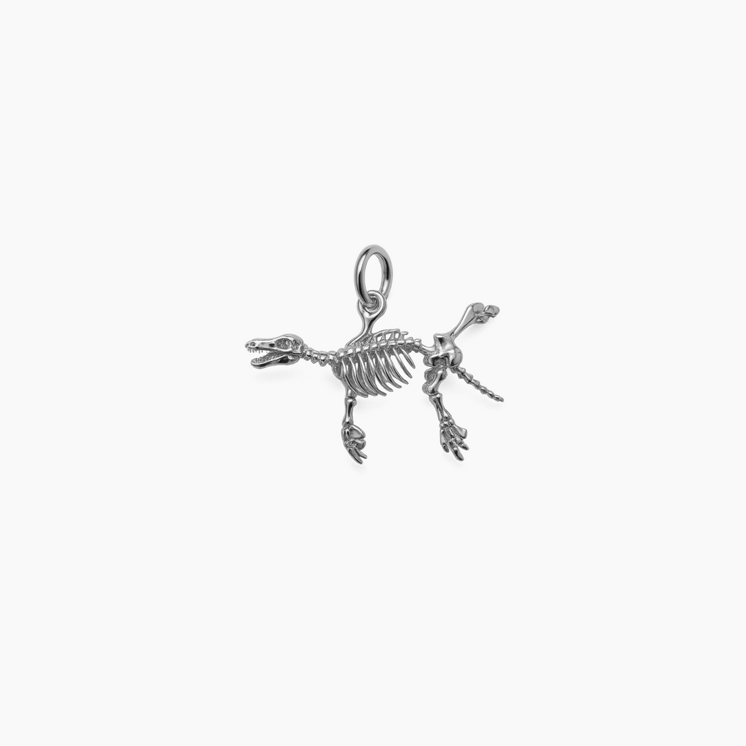 Sterling Silver finish