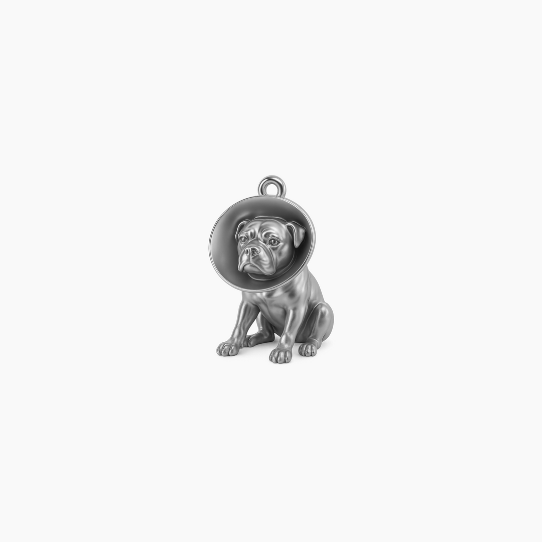 Sterling Silver finish