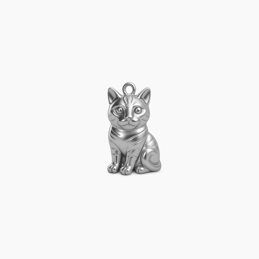 Sterling Silver finish