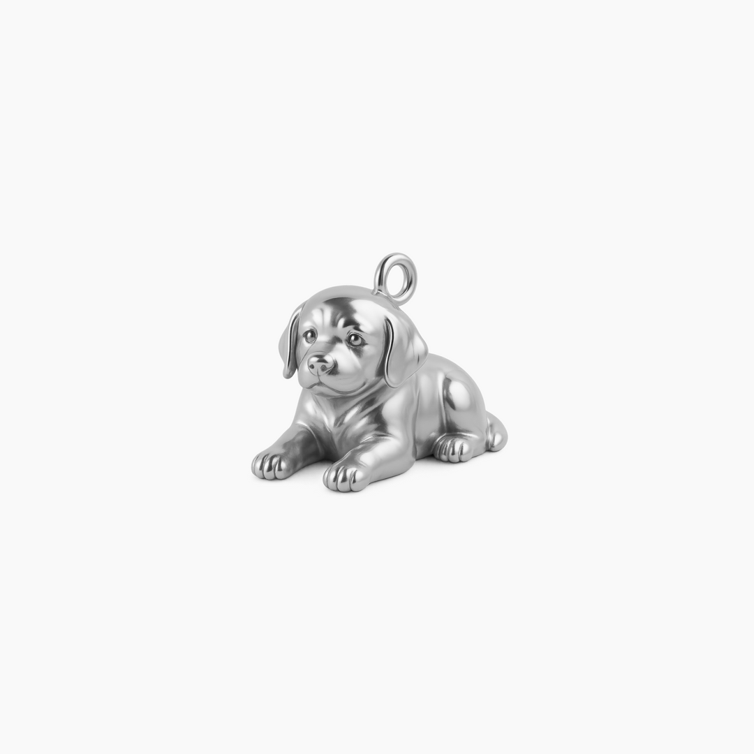 Sterling Silver finish