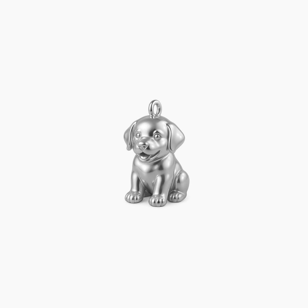 Sterling Silver finish