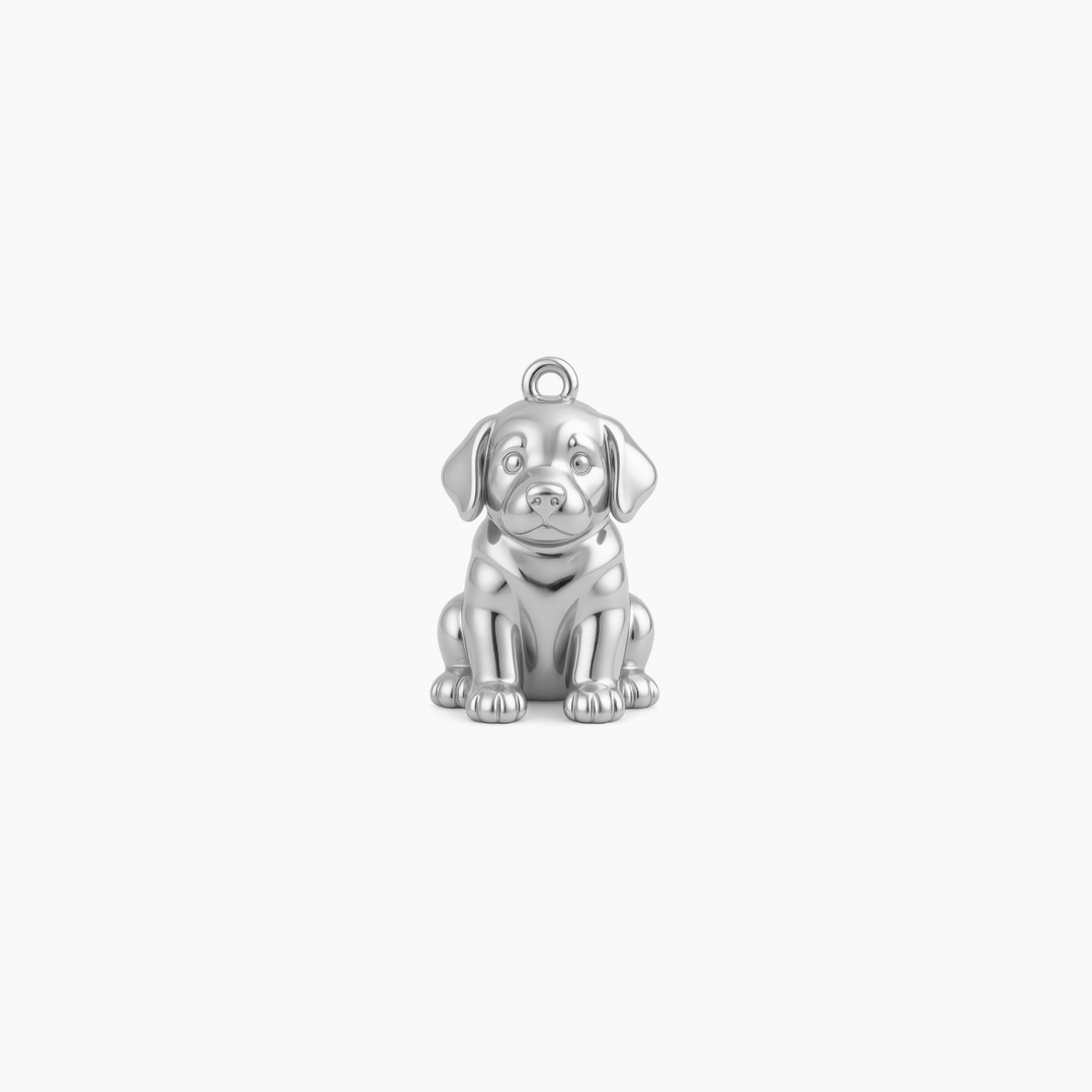 Sterling Silver finish