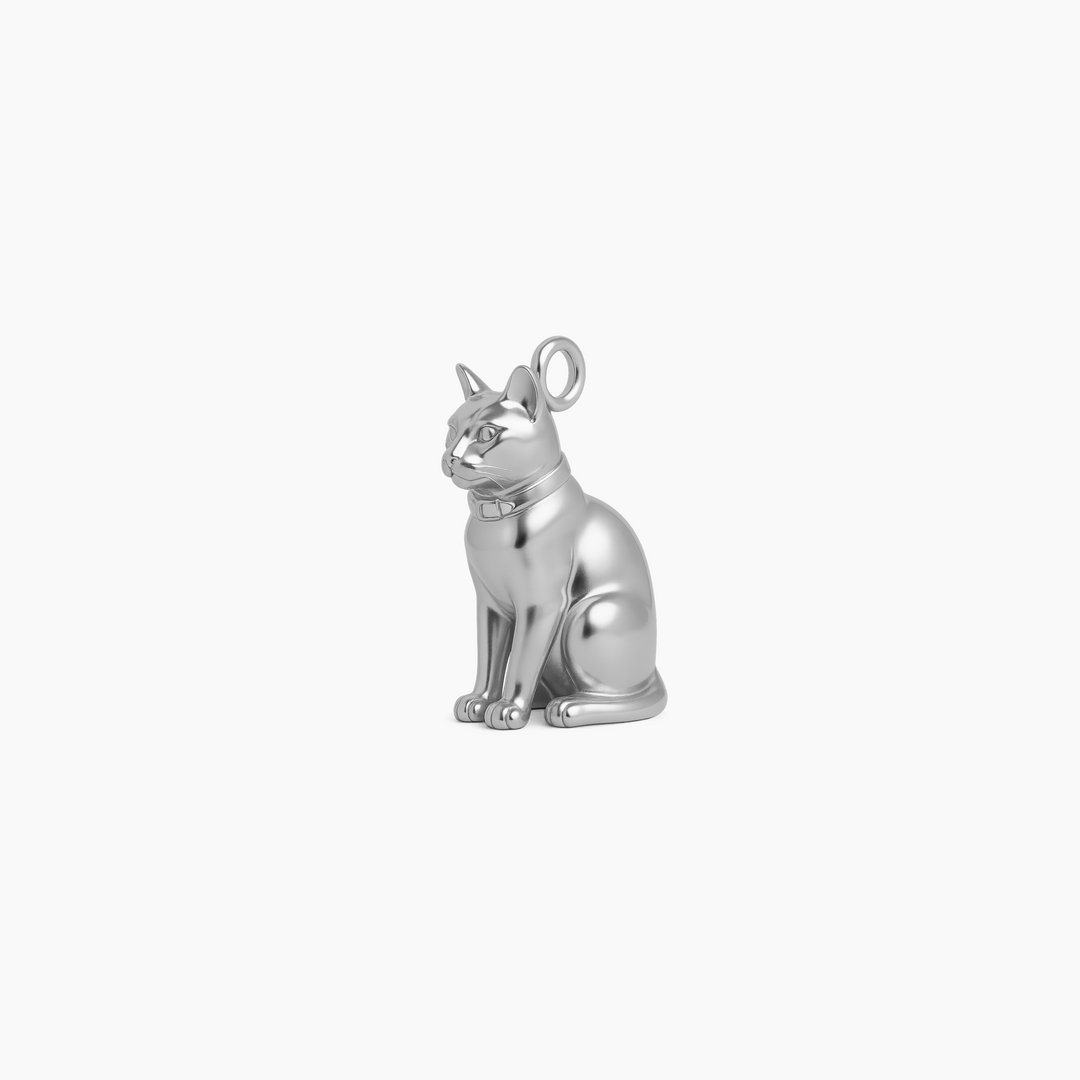 Sterling Silver finish