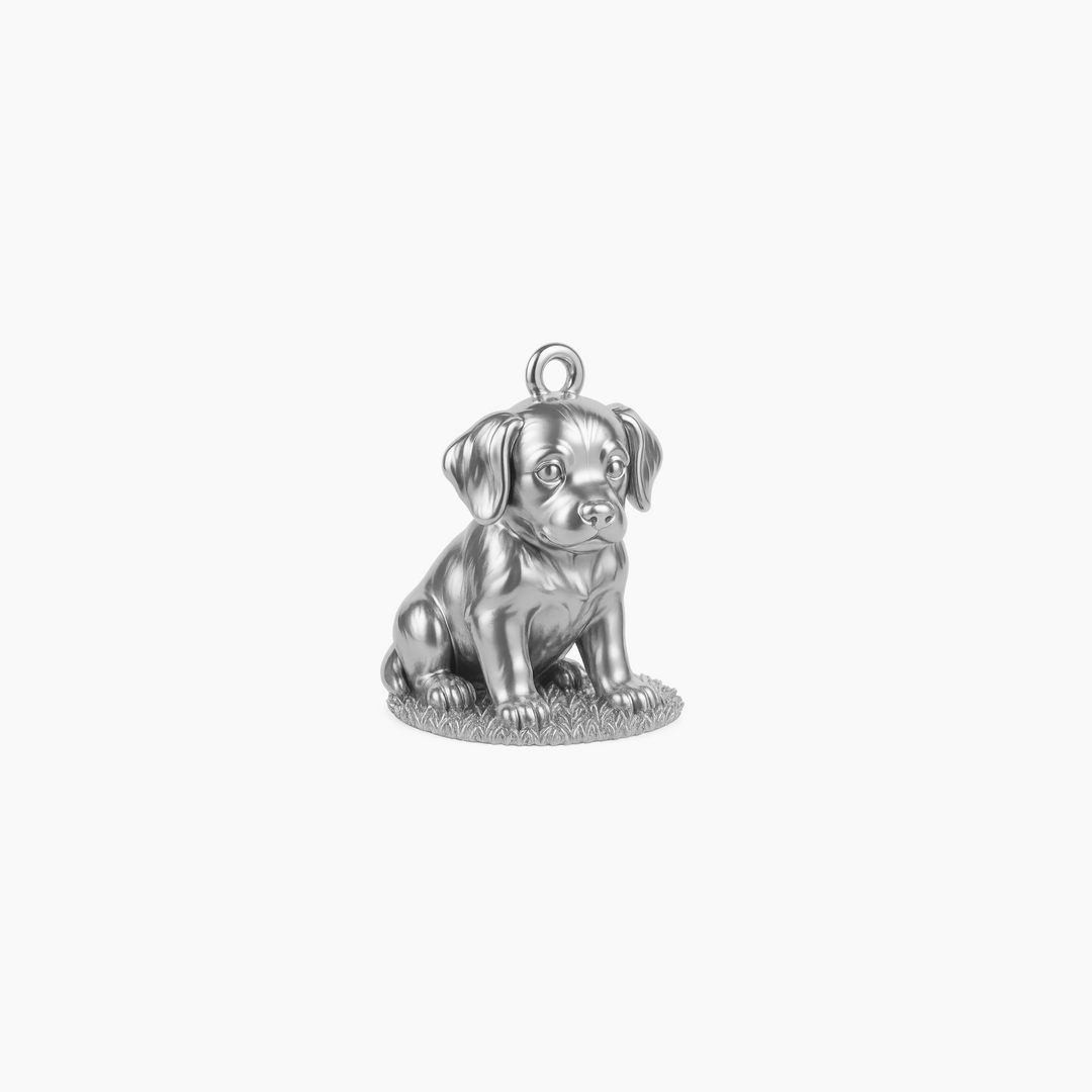 Sterling Silver finish