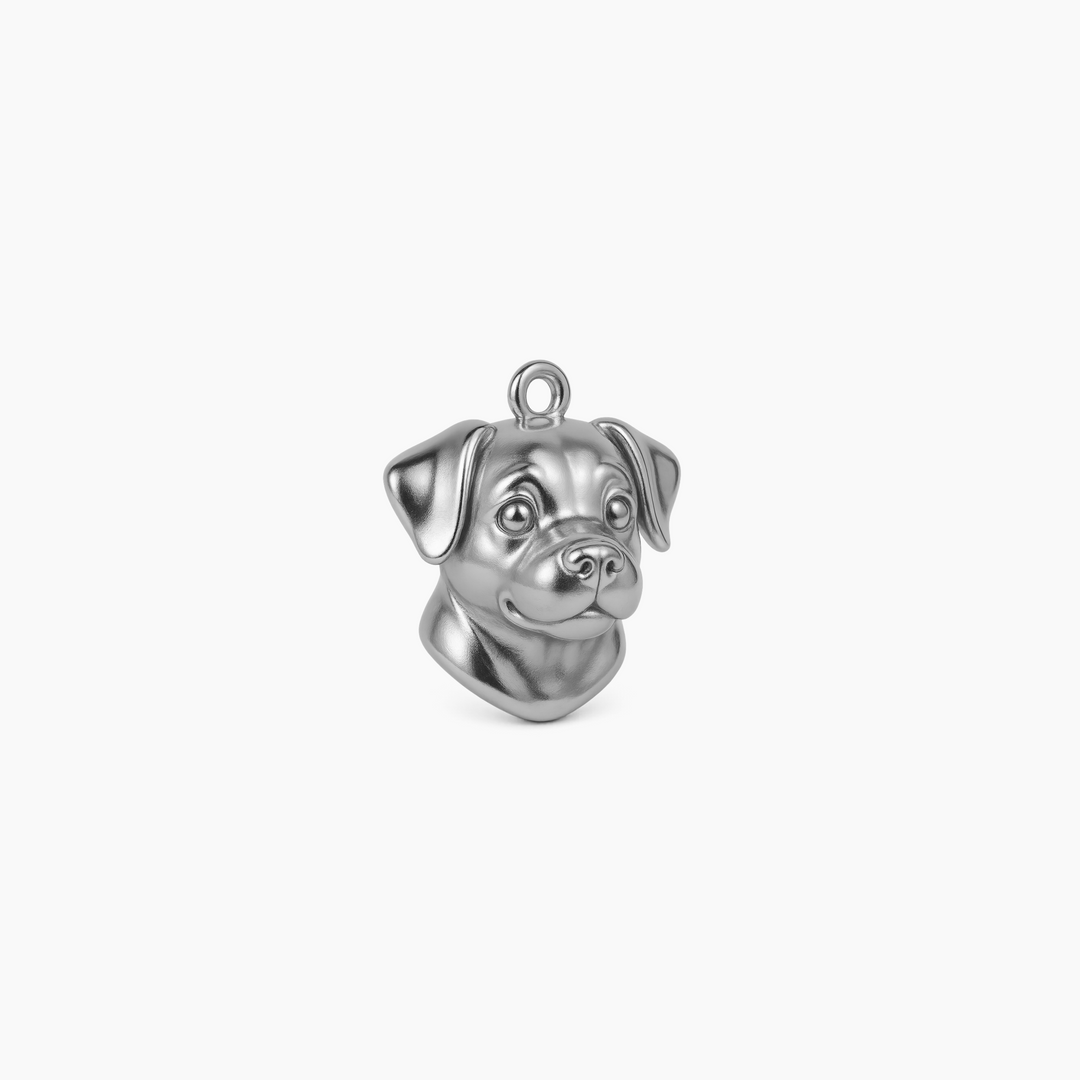 Sterling Silver finish