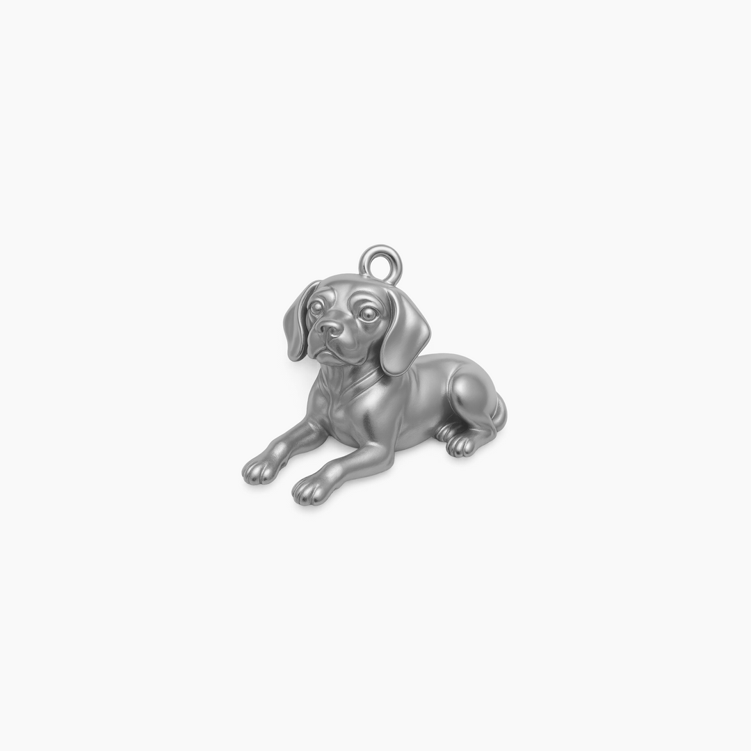 Sterling Silver finish
