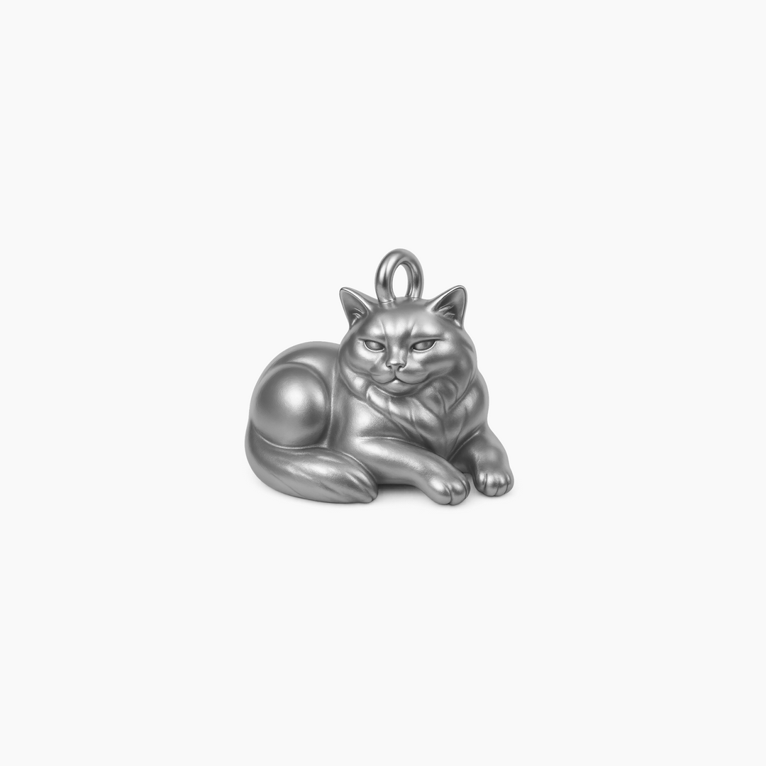 Sterling Silver finish (Edited)