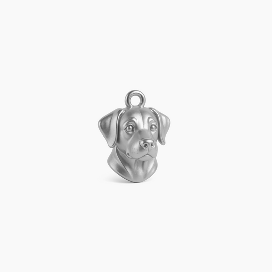 Sterling Silver finish