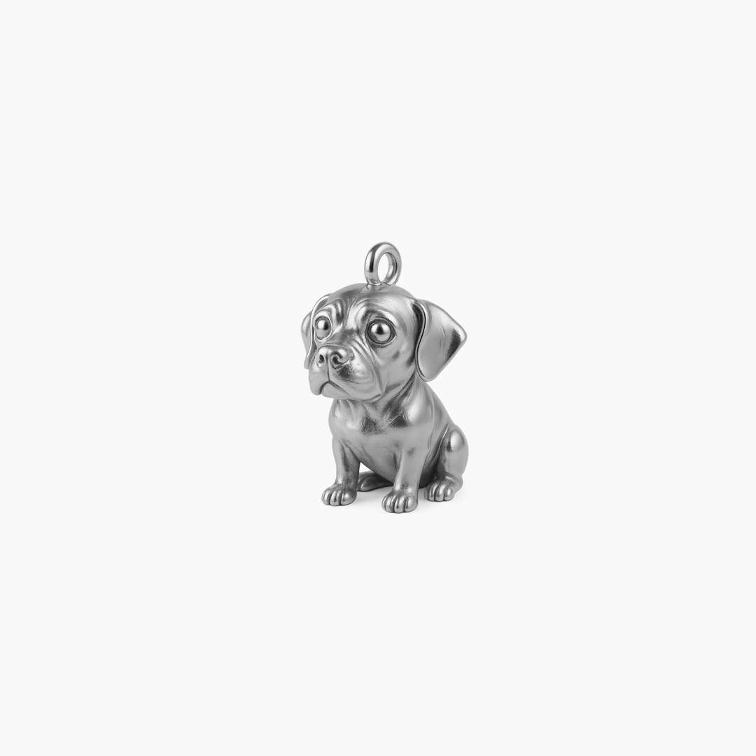 Sterling Silver finish