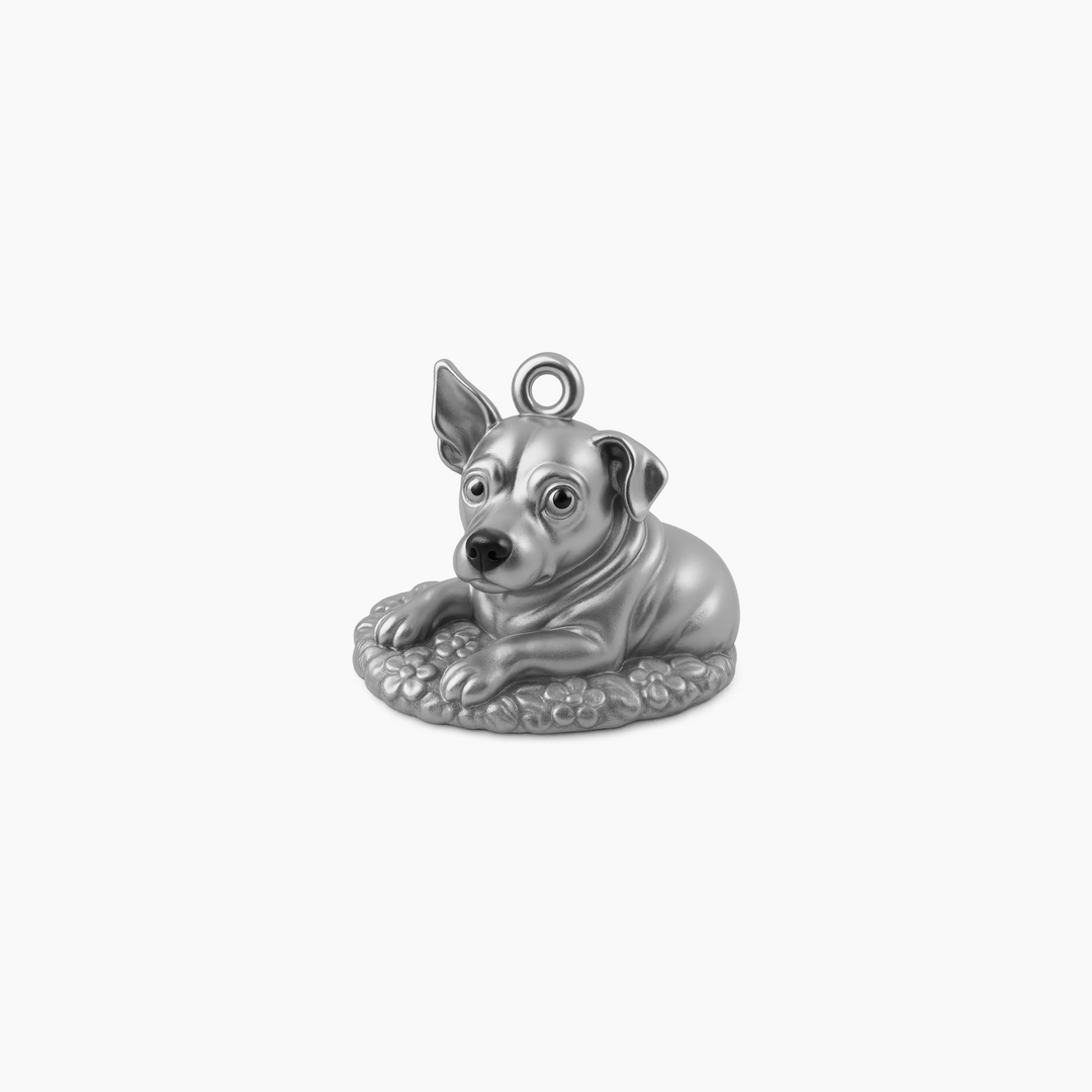 Sterling Silver finish