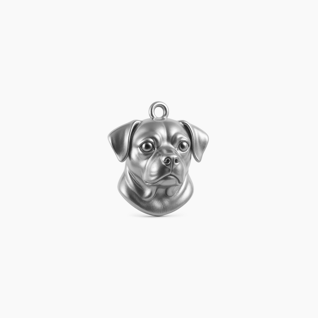 Sterling Silver finish