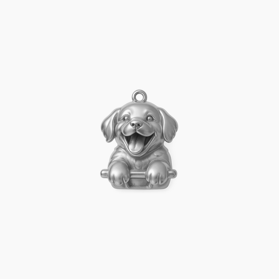 Sterling Silver finish