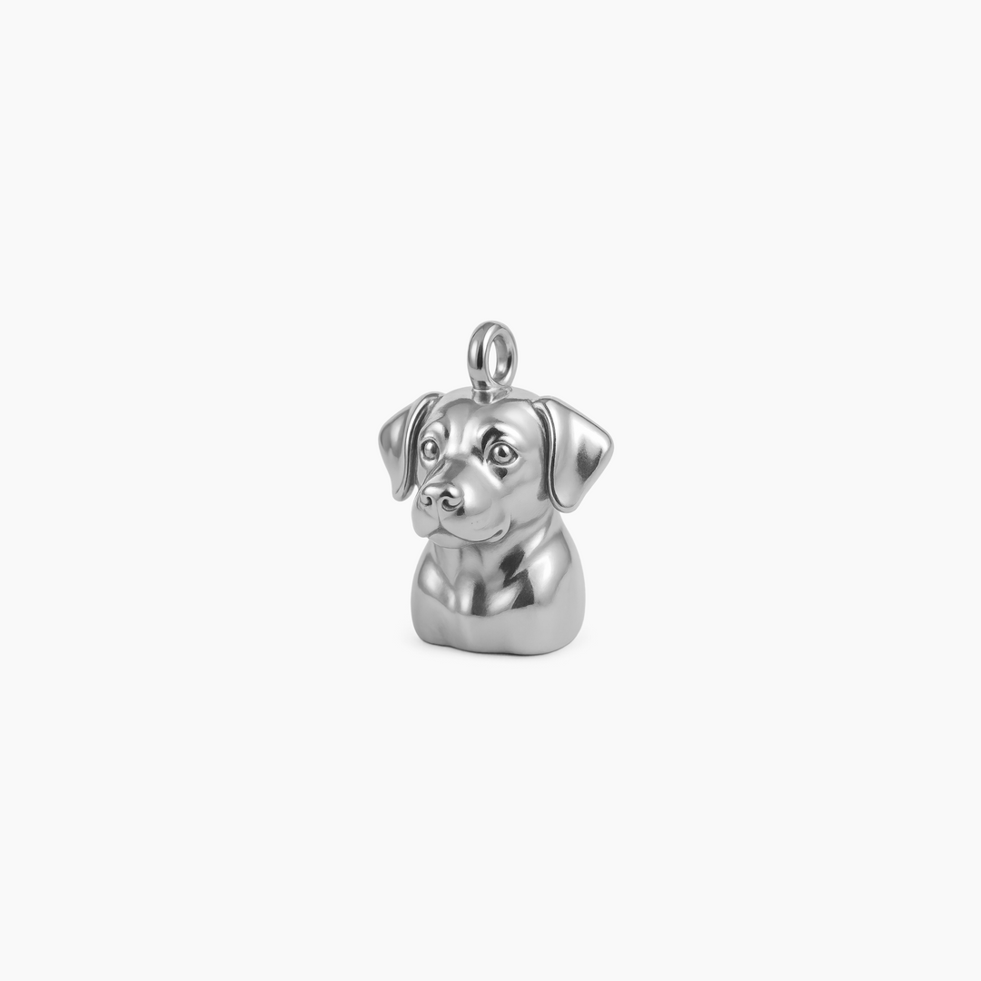 Sterling Silver finish