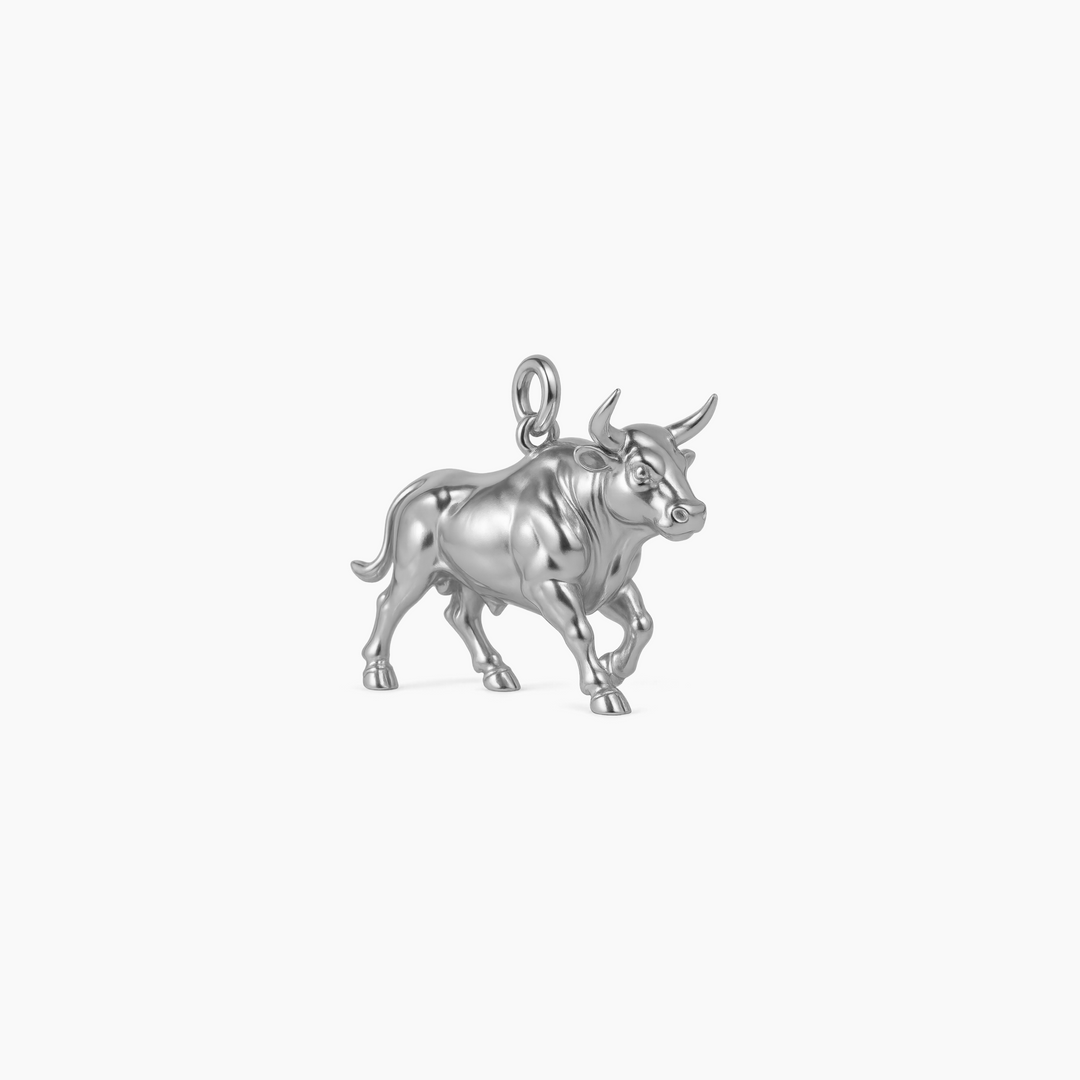 Sterling Silver finish