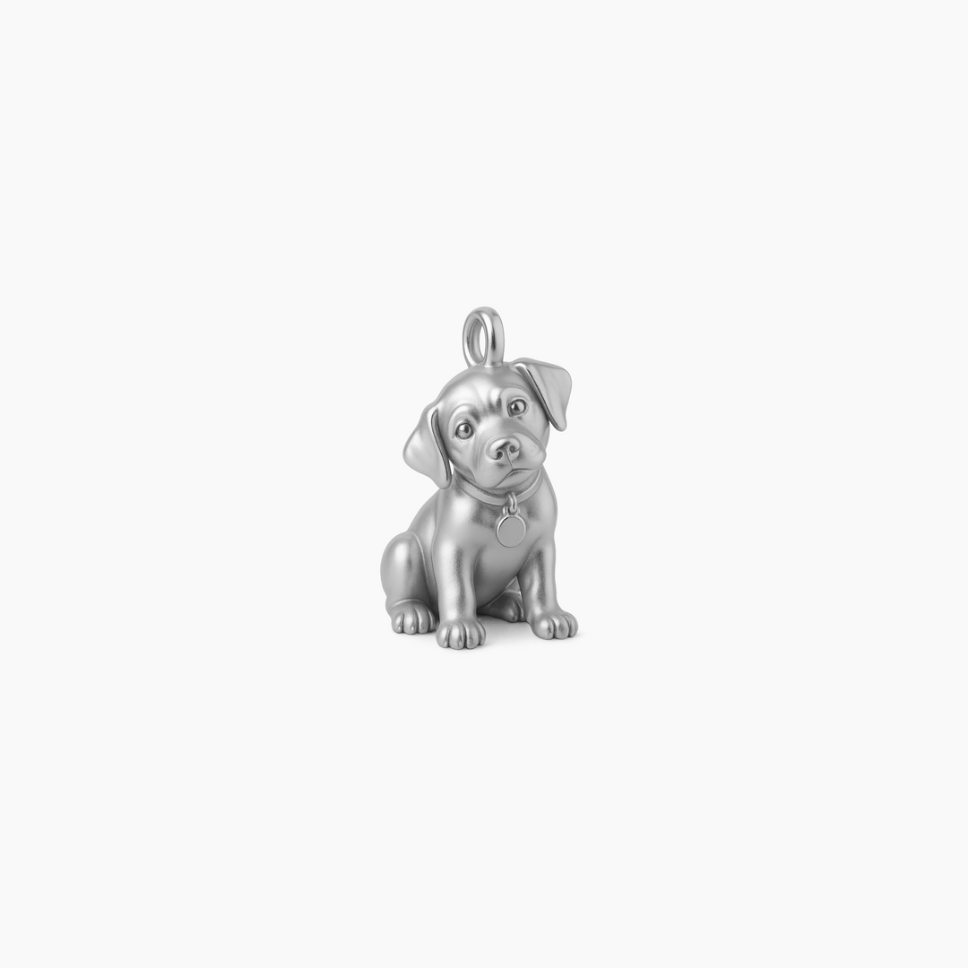 Sterling Silver finish